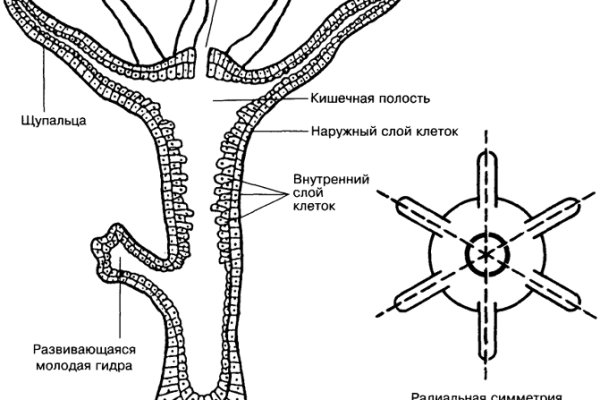 Кракен сайт kr2web in