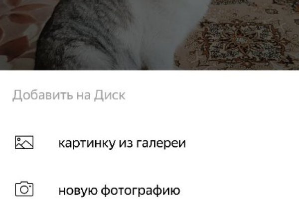 Кракен ссылка 25