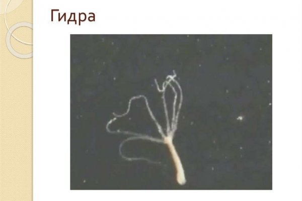 Кракен дарк шоп