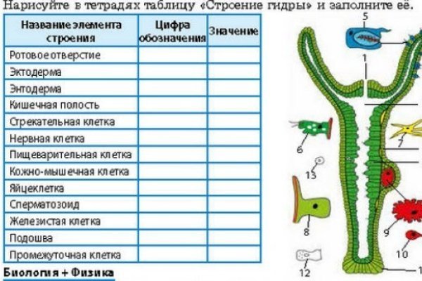 Как восстановить пароль кракен