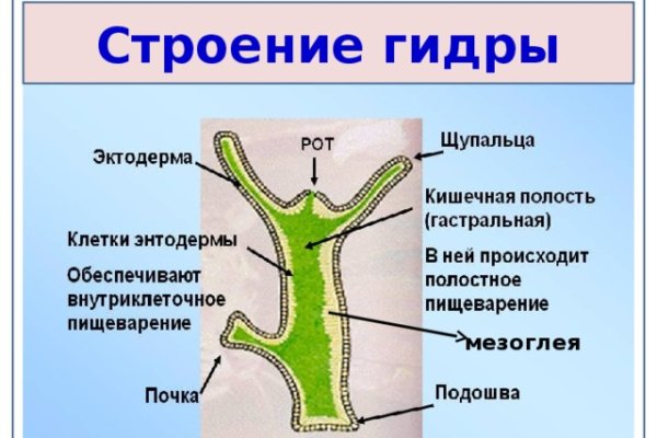Актуальная ссылка на кракен