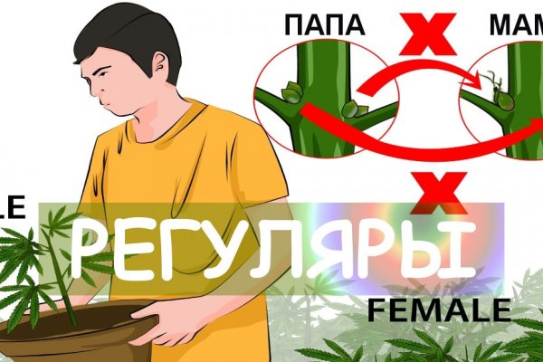 Войти даркнет
